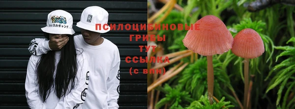 СК Заводоуковск