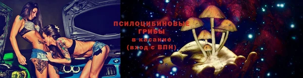 СК Заводоуковск
