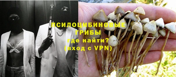 СК Заводоуковск
