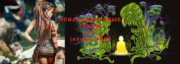 дурь Заволжье