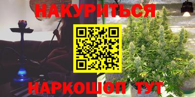 хмурый Сланцы