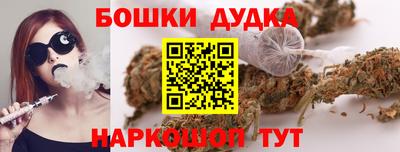 хмурый Сланцы